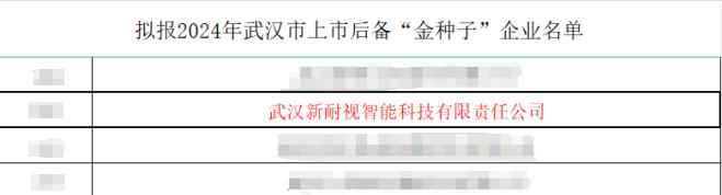 简讯：YH533388银河荣获2024年武汉市上市后备“金种子”企业！