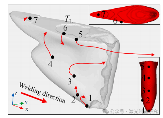 【本期推荐】华中科技大学等单位《OLT》：铝锂合金中厚板激光深熔焊接中的组织不均匀分布及其形成机理！