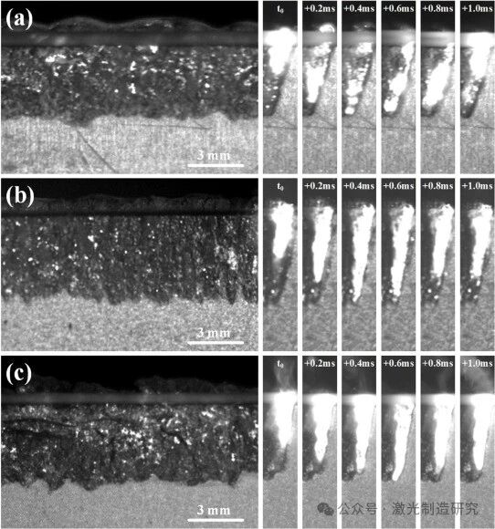【本期推荐】华中科技大学《OLT》：激光清洗5083铝合金氧含量、形貌及其对焊缝气孔率的影响!